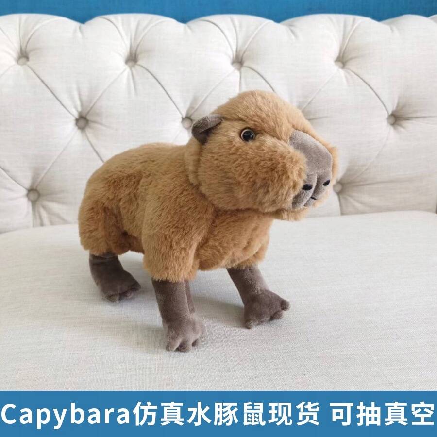 Maskotka Kapibara 33cm - Urocza Przytulanka Dla Miłośników Zwierząt